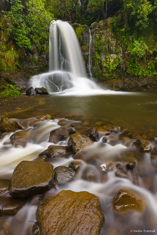 Waiau Falls plunges into a deep pool in a forest on the North Island of New Zealand.