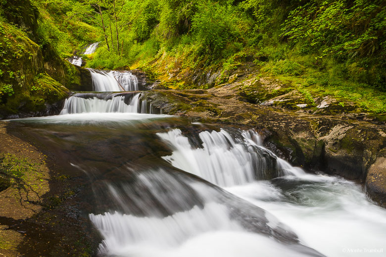 Sweet Creek tumbles down a series of cascades known as Punchbowl Canyon Falls outside of Mapleton, Oregon.