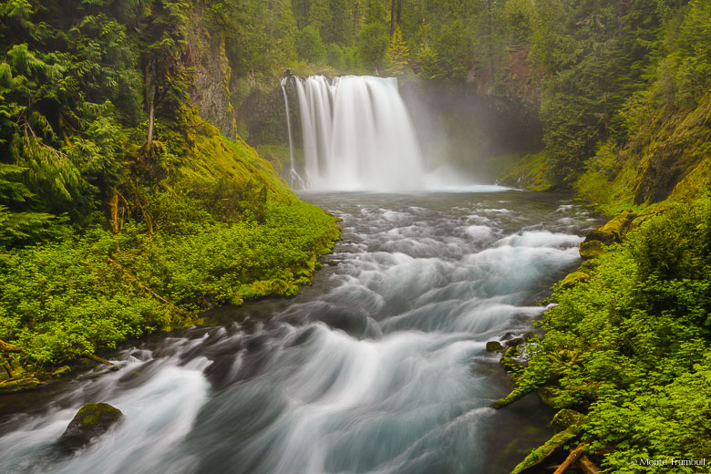 The McKenzie River crashes over Koosah Falls, creating a cloud of mist that fills the vibrant green valley below in the Willamette National Forest in central Oregon.