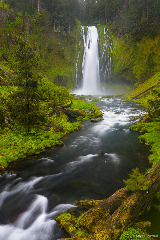 The North Umpqua River plunges more than 150 feet over beautiful Lemolo Falls before rushing downstream through a lush green valley in the Umpqua National Forest in Oregon.