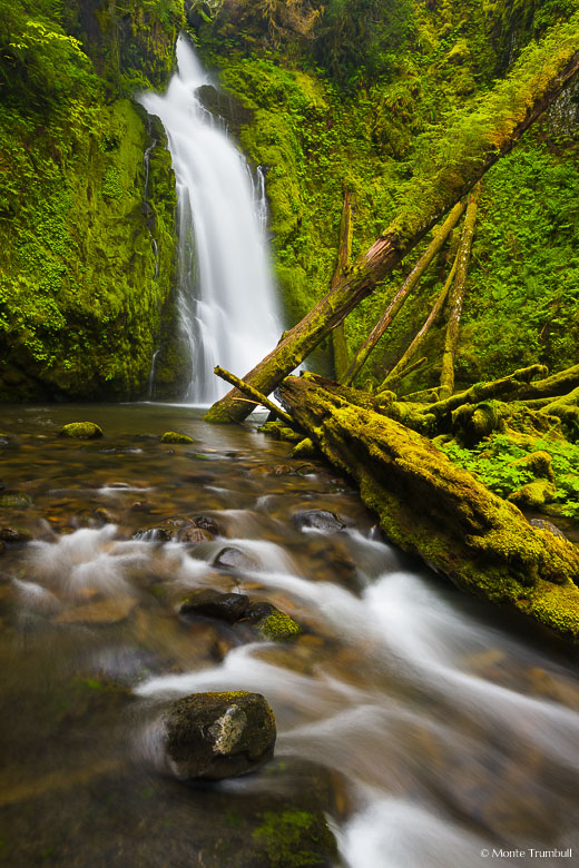 Hemlock Falls twists and turns down a rugged chasm and drops into a lush green gorge littered with mossy fallen trees in the Umpqua National Forest in Oregon.