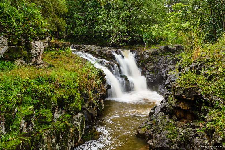 Kaapa Stream emerges from a dense forest canopy and gracefully flows over Upper Hoopii Falls in eastern Kauai, Hawaii.