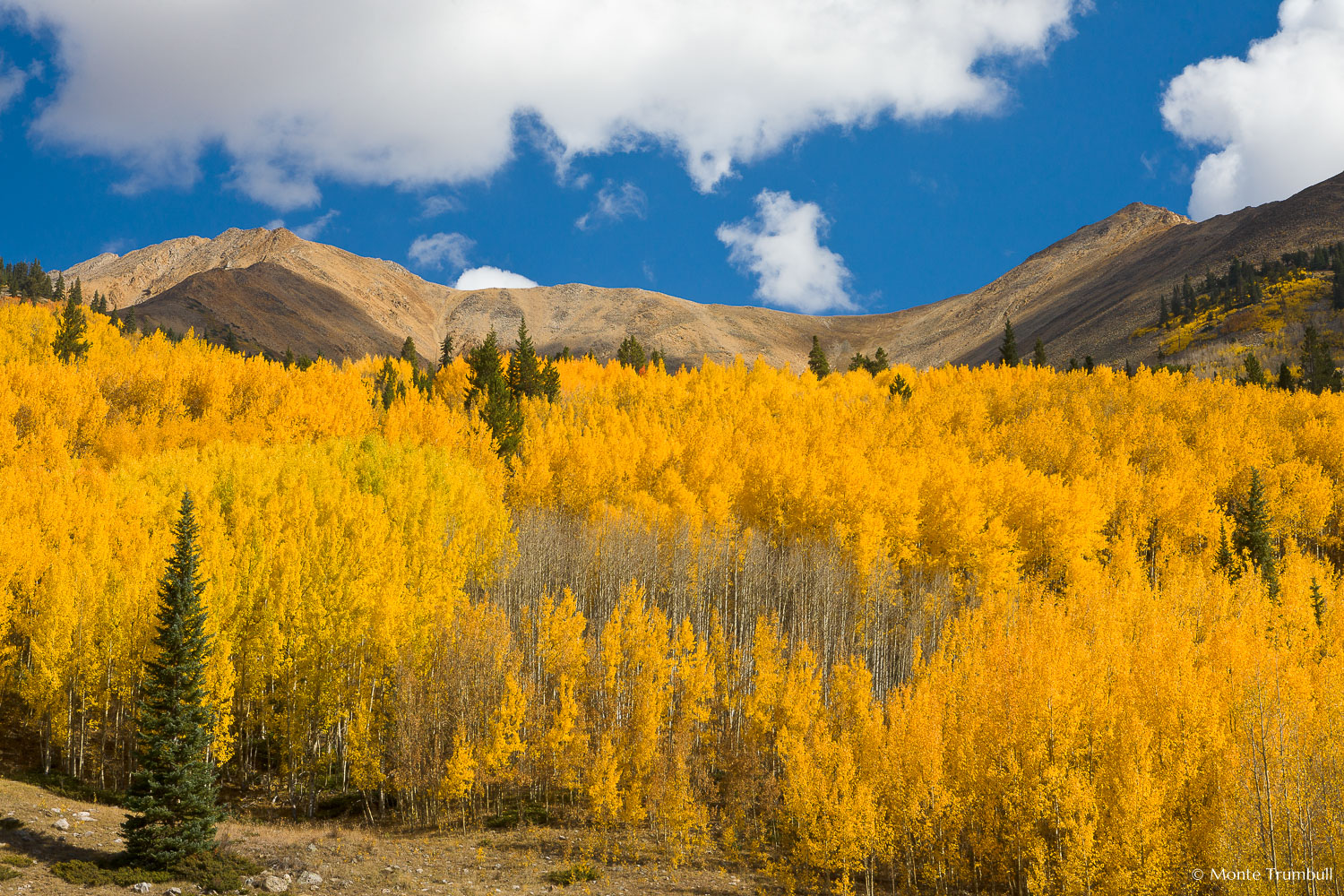 MT-20111002-105348-0025-Colorado-Irvin-Peak-Mount-Blaurock-fall-color.jpg