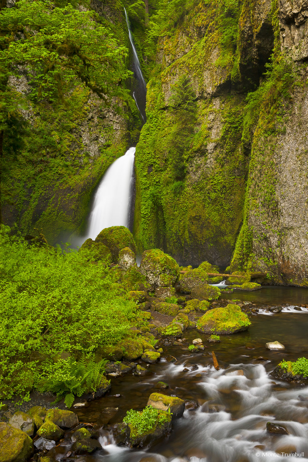 MT-20070510-055221-0008-Oregon-Columbia-Gorge-Wahclella-Falls.jpg